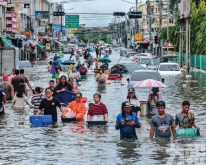 水淹曼谷鱷魚出沒