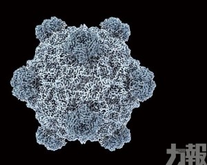 現有病毒威脅仍較迫切