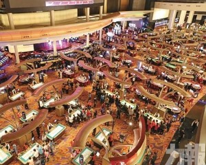 IMF料貴賓佔比維持低位