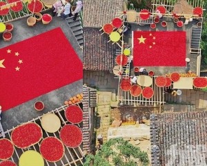 曬出最美秋色