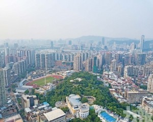 中原籲政府出招「兜底」救市