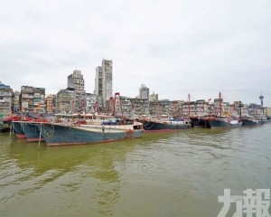 促推燃油支援措施紓困