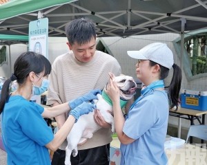 推廣動物防疫照護及鼓勵領養