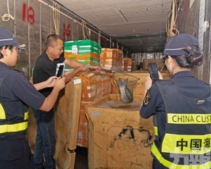 港珠澳大橋全天候賦能灣區保供