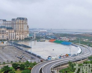 業界：交專業公司營運更「貼地」