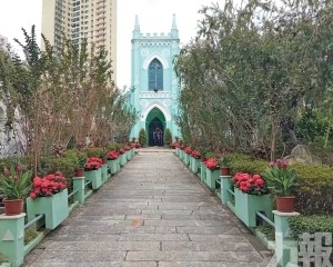 便利市民重陽節拜祭掃墓