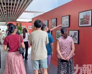 光影繪就琴澳共生溫暖圖景