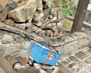 機械狗一小時衝上3100級石階