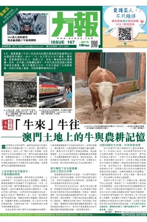 第六千一百三十期