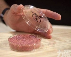 中國首款「人造肉」將於9月深圳上市
