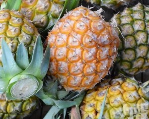 中國下月起暫停進口台灣菠蘿