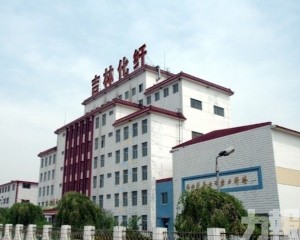 五人吸入有毒氣體死亡