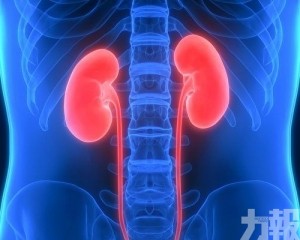 美研：新冠肺炎痊癒者恐腎機能退化30年
