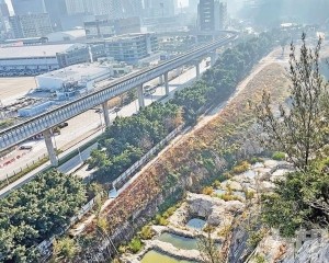 社諮委倡完善公屋規劃及路面維護