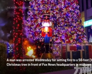 紐約15米高聖誕樹「燒通頂」