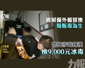 警拘涉毒越漢 檢9,000元冰毒