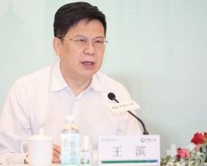 中國人壽原董事長王濱被捕