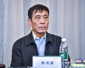 中國足協主席陳戌源接受審查調查