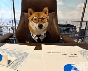 「我的狗才是CEO」