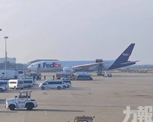 旅美大熊貓「丫丫」返抵上海