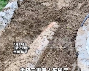 警方：不允許棺葬已挖墓火化