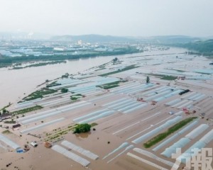 暴雨侵襲農業帶 稻田受損嚴重