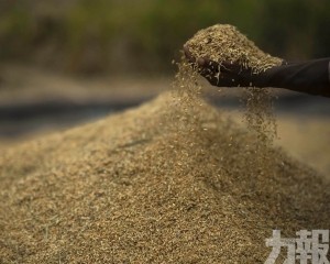 肉類與植物油價格上漲