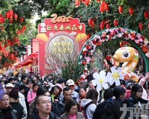 在地消費364億元按年增8.3%