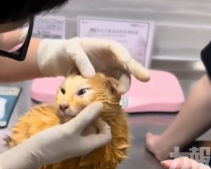 治療多日仍傷重不治