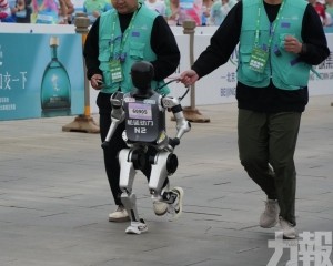  8月鳥巢登場設19項賽事