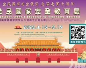 公眾把握機會觀展