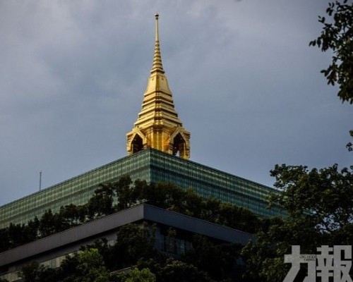 料7月底前提交報告