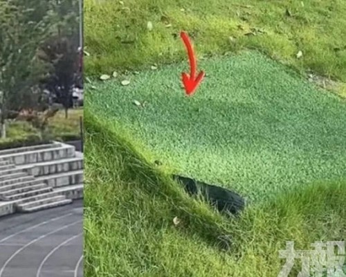 重慶男大生突墜化糞池溺斃