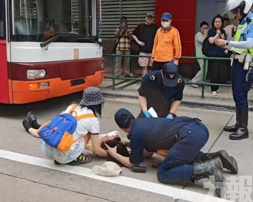 坊會籲提升交通安全意識