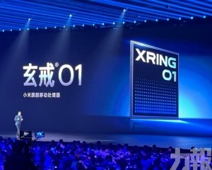 仰賴台積電代工恐成隱憂