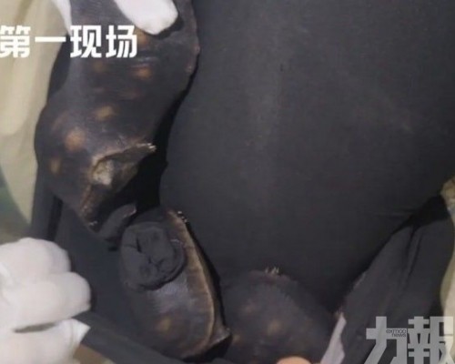 福田口岸闖關被截