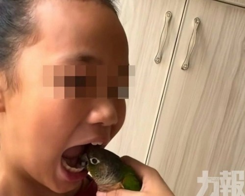 醫生警示恐得禽流感