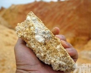 期限僅六個月