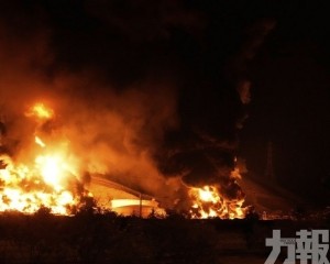 市場避險情緒升溫