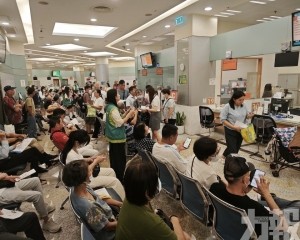 收4900宗申請