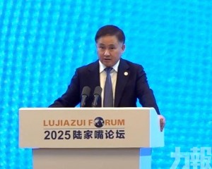 強化金融韌性與治理改革