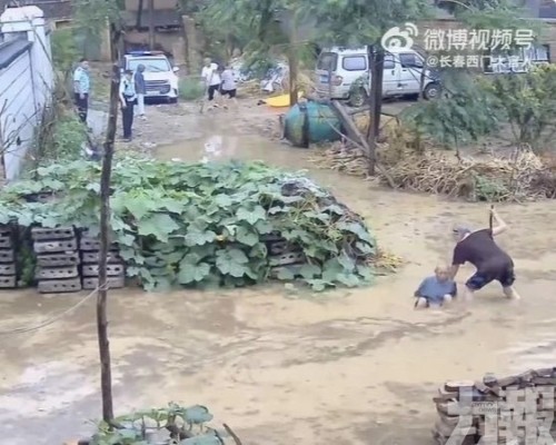 河南周口民警被免職處分