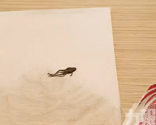 品牌回應：將依法處理並賠償