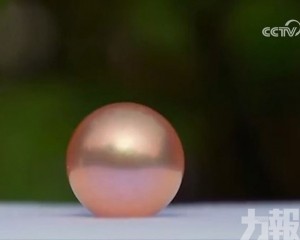 直播主偷塞珍珠誤導觀眾競價