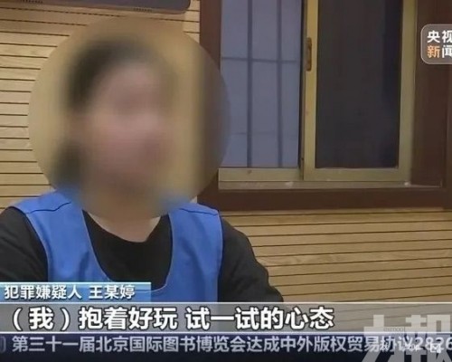 年僅17歲女首腦「小丫頭」落網