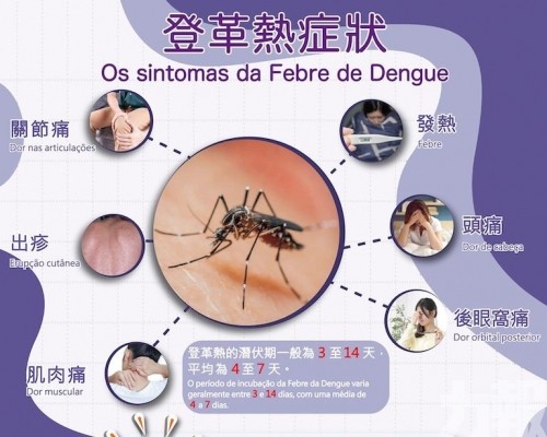 衛生局籲出現疑似登革熱症狀應儘早就醫