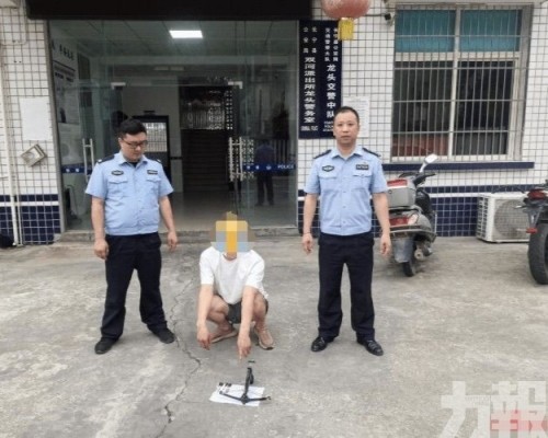 用於販售狗肉遭拘留
