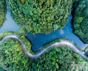 廣東「岳山造林」引領綠美生態新篇章