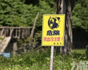 北海道送報員遭熊咬死