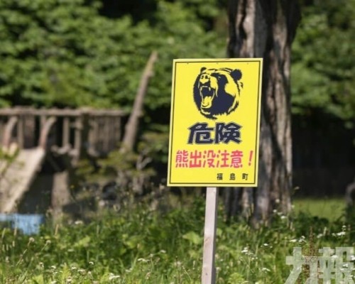 北海道送報員遭熊咬死
